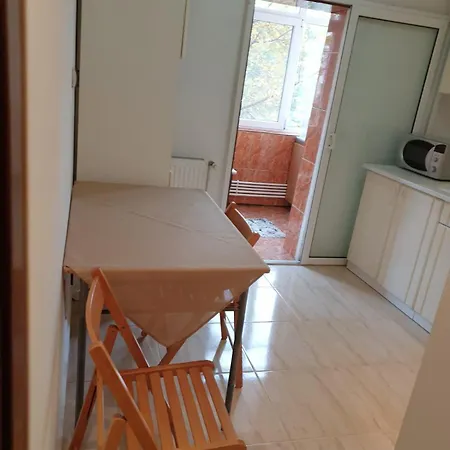 アパート Apartament Stelian Inel 2