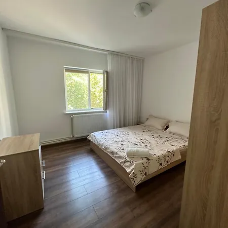 アパート Apartament Stelian Inel 2 *