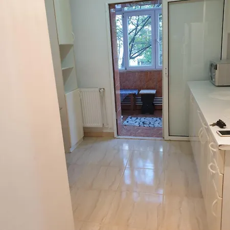 公寓 Apartament Stelian Inel 2 康斯坦察